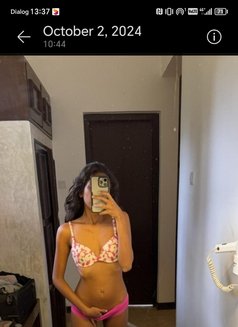 Kamasha Domex - escort in Colombo Photo 1 of 3