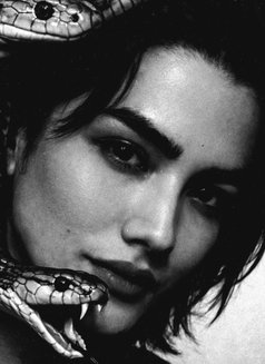 Kamil - escort in Dubai Photo 8 of 16