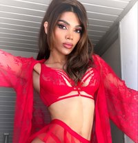 Kamilita Doll - Transsexual escort in Dubai Photo 28 of 28