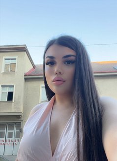 kamilla 🤪 - Transsexual escort in Saraewo Photo 7 of 12
