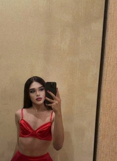 Kamilla Fantasy 🇷🇺Russian🇷🇺 - Acompañantes transexual in Doha Photo 3 of 7