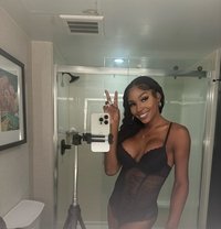 Kammy Kreamz - Transsexual escort in Rome