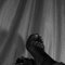 Kamo - Transsexual escort in Nairobi