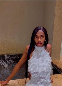 Kamo - Transsexual escort in Nairobi Photo 3 of 5