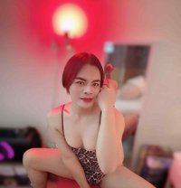 Kan 69 🇹🇭 top&bottom - Acompañantes transexual in Doha