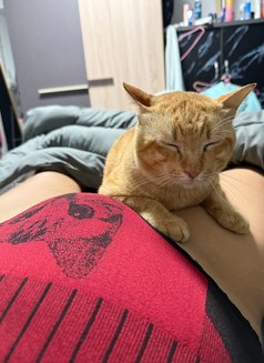 Kanda - puta in Pattaya Photo 27 of 28