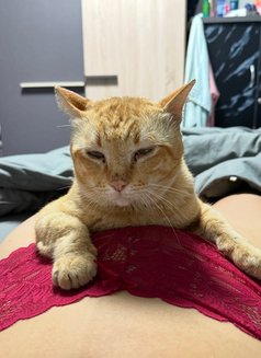 Kanda - puta in Pattaya Photo 28 of 28