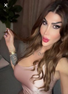Kandy B - Acompañantes transexual in Beirut Photo 10 of 10