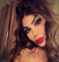 Kandy B - Transsexual escort in Beirut Photo 13 of 13
