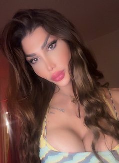 Kandy B - Transsexual escort in Beirut Photo 14 of 15