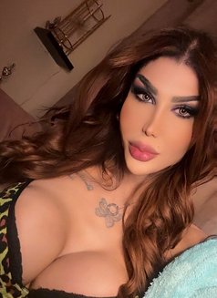 Kandy B - Transsexual escort in Beirut Photo 24 of 24