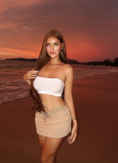 Kanhee 1m - Acompañantes transexual in Phuket Photo 11 of 11