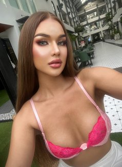 Kanhee in Riyadh - Transsexual escort in Riyadh Photo 20 of 20