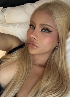 Kara - Transsexual escort in Bangkok Photo 12 of 13