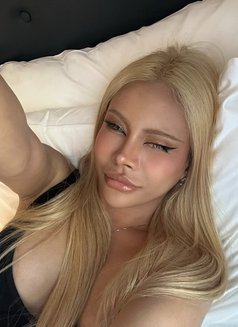 Kara - Transsexual escort in Bangkok Photo 13 of 13
