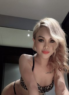 Kara - Acompañantes transexual in Al Ain Photo 1 of 18