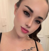 Kara - Transsexual escort in Al Ain