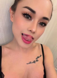 Kara - Transsexual escort in Al Ain Photo 15 of 15