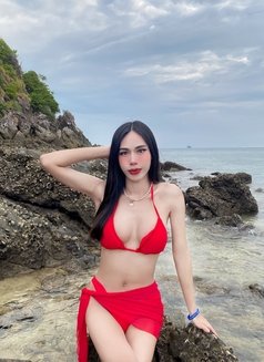 Kara from Phuket - Acompañantes transexual in Dammam Photo 14 of 14