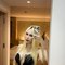 Kara from Phuket🇹🇭 - Acompañantes transexual in Chiang Mai