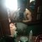 Karan - Male adult performer in Kathmandu