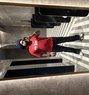 Karann - Male escort in Chandigarh Photo 1 of 1