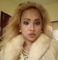 Karaoke Nights - Transsexual escort in Bangkok