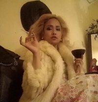 Karaoke Nights - Acompañantes transexual in Bangkok