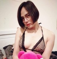 nitty - Transsexual escort in Fujairah