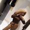 Karima_Gfe - escort in Abu Dhabi Photo 3 of 14