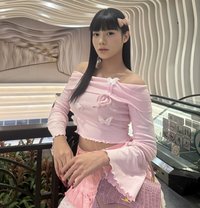 KARINA (HARD COCK CUMS ALOT) - Acompañantes transexual in Manila