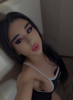 Karina Kis Kis - Transsexual escort in Al Manama Photo 10 of 10
