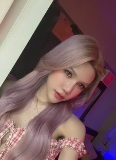 Karina Sexy Top Sweet Bottom - Acompañantes transexual in Bangkok Photo 22 of 23