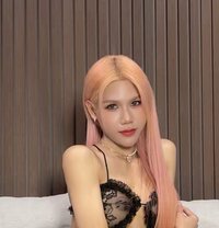 Karina Sexy Top Sweet Bottom - Transsexual escort in Bangkok