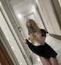 Angelina XXL Top 🇺🇦 - Acompañantes transexual in Muscat Photo 10 of 10