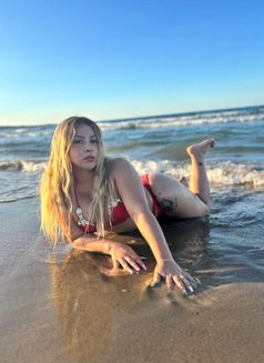 Karina Young Latin Girl, Open Mind - escort in Malta Photo 18 of 18
