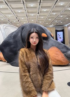 Karisa in Gangnam - escort in Seoul Photo 5 of 6