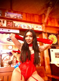 Karisa Vongachariya - Transsexual escort in Chiang Mai Photo 12 of 13