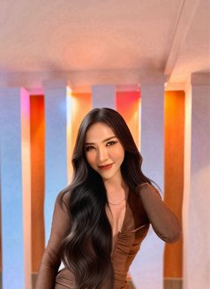 Karisa Vongachariya - Transsexual escort in Chiang Mai Photo 13 of 13