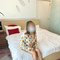 Karishma Escorts for Hook Ups - escort agency in Kathmandu