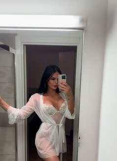 Karol shemale arab - Transsexual escort in Milan Photo 1 of 13