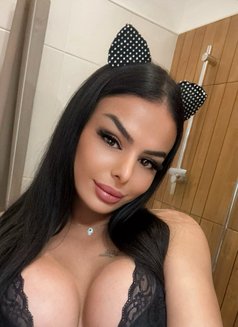 Karol shemale arab - Transsexual escort in Milan Photo 7 of 13