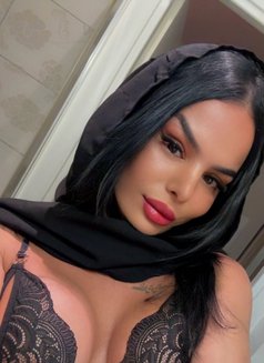 Karol shemale arab - Transsexual escort in Milan Photo 13 of 13