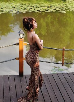 Karolina - Transsexual escort in Tashkent Photo 18 of 25