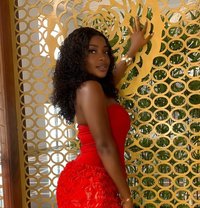 Kasandra - escort in Cairo