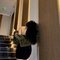 Kashvi - escort in Coimbatore Photo 3 of 3