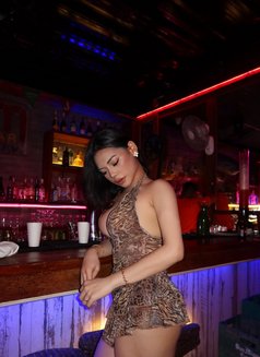 KassandraKate - Acompañantes transexual in Manila Photo 6 of 14
