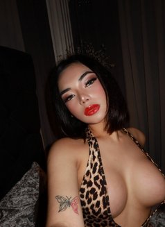 KassandraKate - Acompañantes transexual in Manila Photo 13 of 14