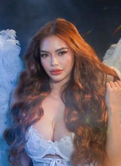 KassandraKate - Acompañantes transexual in Manila Photo 11 of 21