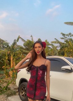 Kat Sanderland - Transsexual escort in Manila Photo 1 of 3
